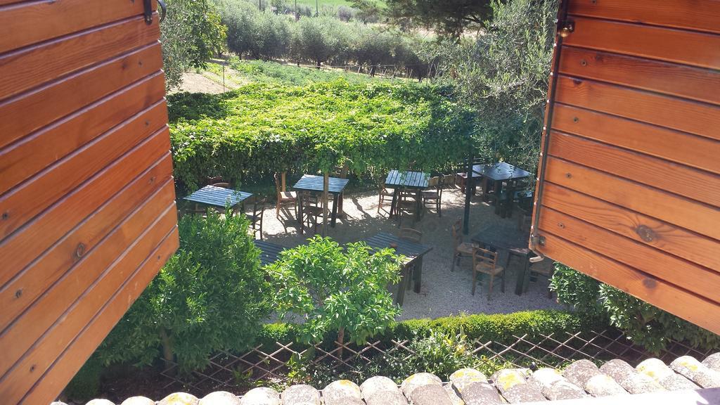 Agriturismo Col Morino Bed and Breakfast Pineto Δωμάτιο φωτογραφία