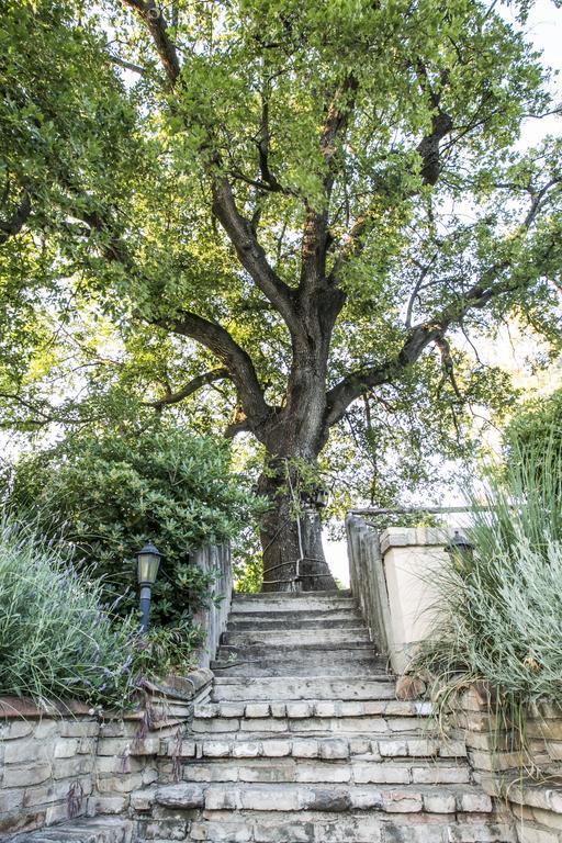 Agriturismo Col Morino Bed and Breakfast Pineto Εξωτερικό φωτογραφία